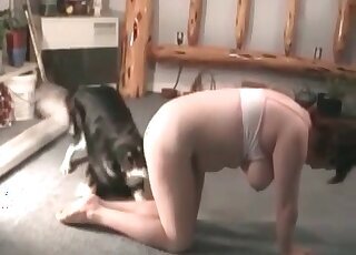 Mature animal porn