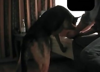 Sweet amateur bestiality with my mutt
