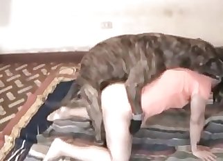 Amazing rear end in ionate bestiality XXX activity