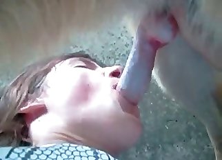 Upside down bestial blowjob