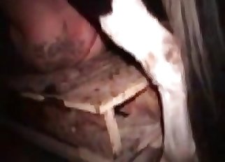 Naughty farm beast in the bestiality Hardcore