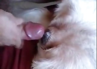Horny brute is taking part of bestiality activity
