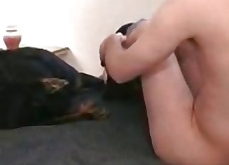 Zoophile takes the bestiality innocence of a dog