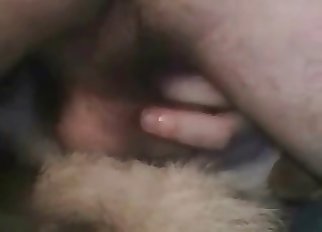 Fantastic shepherd prepared for zoophilia XXX
